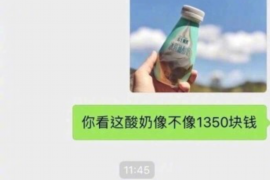 辽阳企业清欠服务